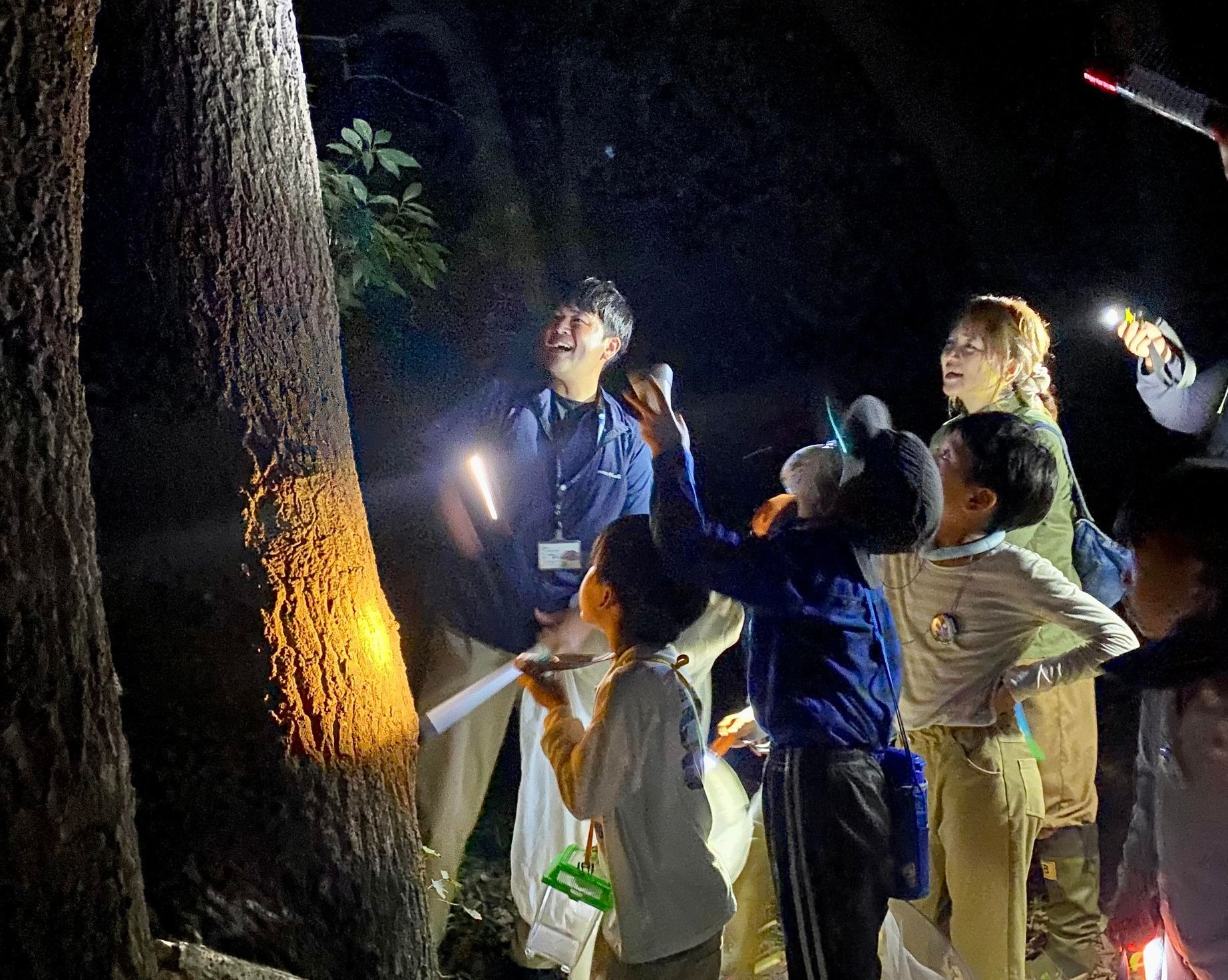 夜の里山探検2026募集開始 - 水海道あすなろの里